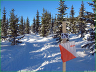 Тренировочный старт Тренировочный старт